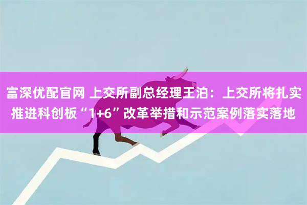 富深优配官网 上交所副总经理王泊：上交所将扎实推进科创板“1+6”改革举措和示范案例落实落地