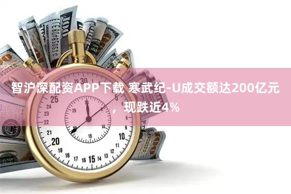 智沪深配资APP下载 寒武纪-U成交额达200亿元，现跌近4%